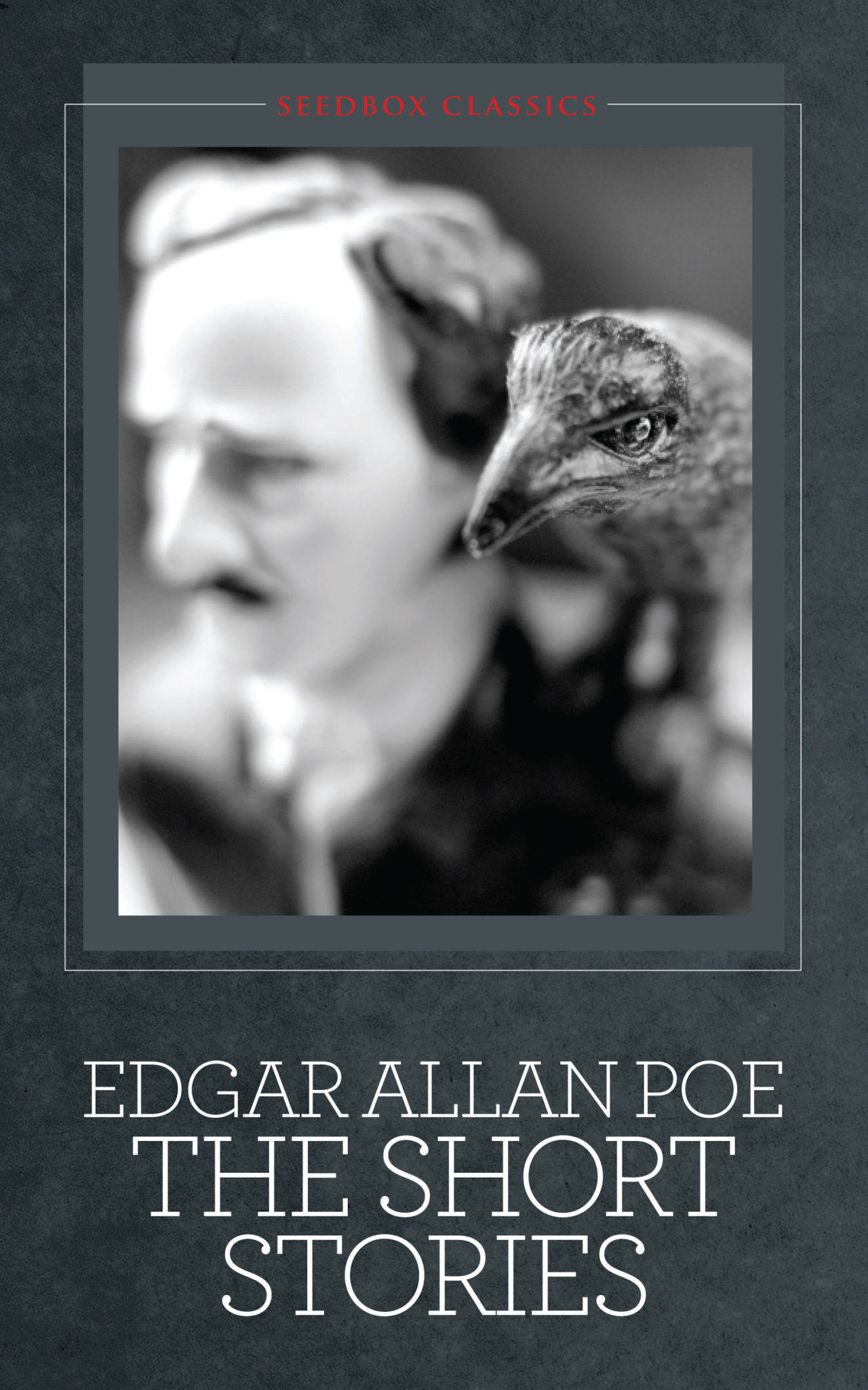 edgar allan poe short stories
