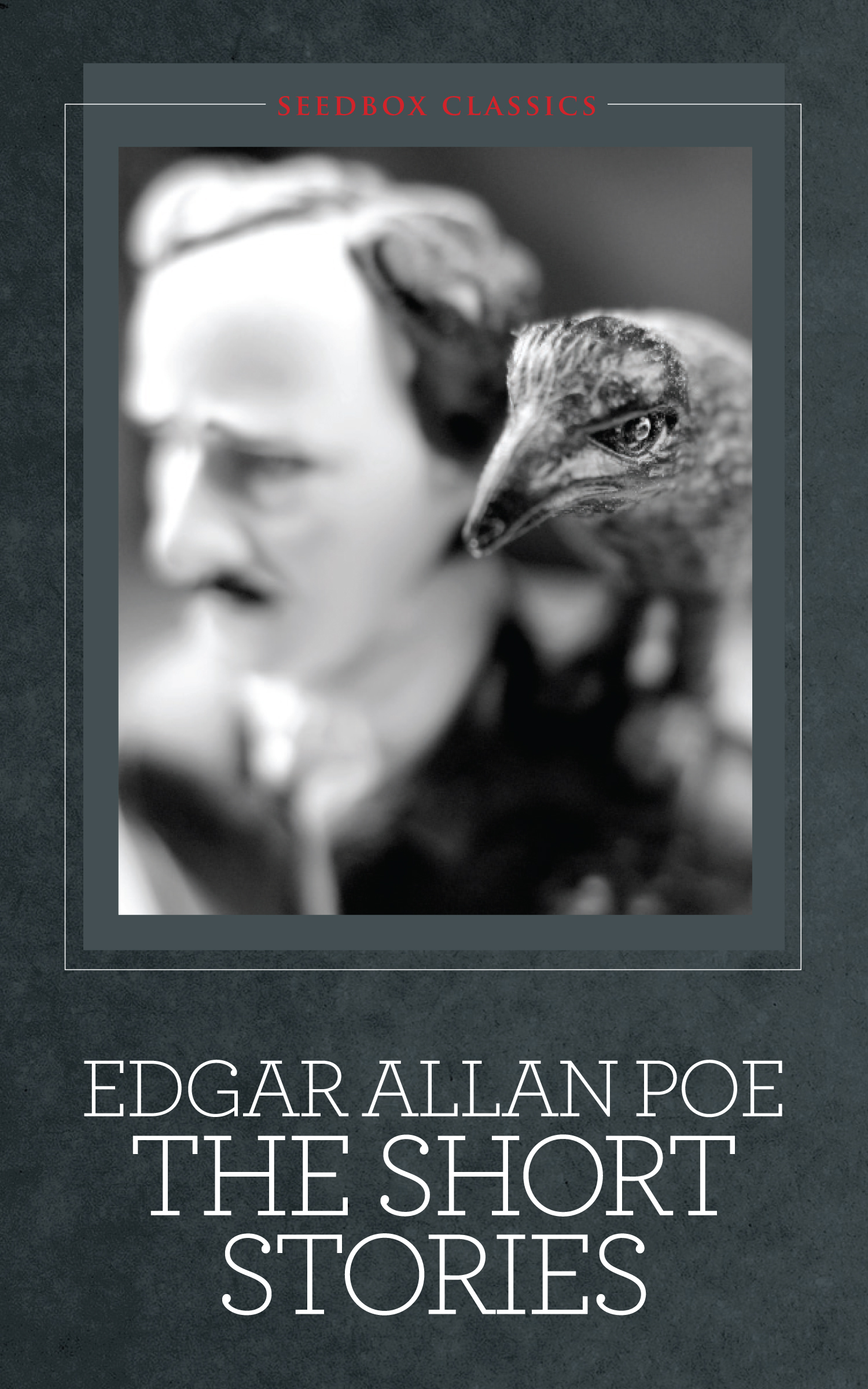 edgar-allan-poe-the-short-stories-seedbox-press-seedbox-press